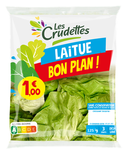 Laitue Bon Plan